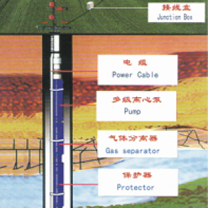 electric submersible pumping system - Current page 1